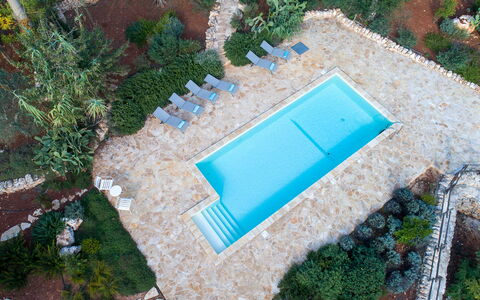 Villa Cristina: L'Eau, Plante, Piscine, Rectangle, Mobilier De Jardin, Lot Terre, Plan D'Eau, Herbe, Design Urbain, Condominium