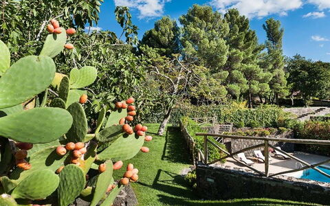 Eden Retreat: Nuage, Plante, Ciel, Communauté Des Plantes, Botanique, Feuille, Végétation, Arbre, Paysage Naturel, Biome