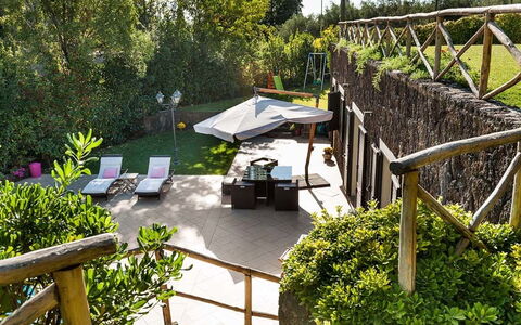 Eden Retreat: Plante, Communauté Des Plantes, Botanique, Arbre, Végétation, Lot Terre, Mobilier De Jardin, Herbe, Ombre, Biome