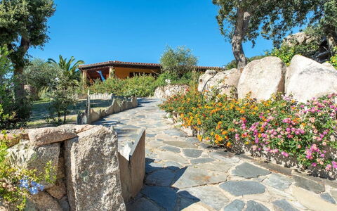 Residence Villa Smeralda: Plante, Ciel, Propriété, Communauté Des Plantes, Fleur, Bâtiment, Arbre, Paysage Naturel, Substrat Rocheux, Surface De La Route