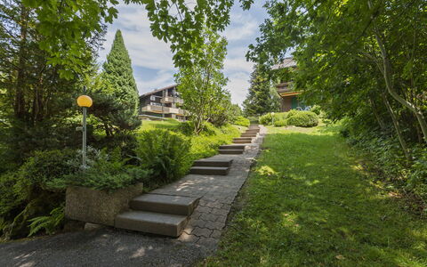 Rehli: Vert, Arbuste, Jardin, Couverture De Sol, Escaliers, Printemps, Passerelle, Aménagement Paysager, Pelouse, Cour
