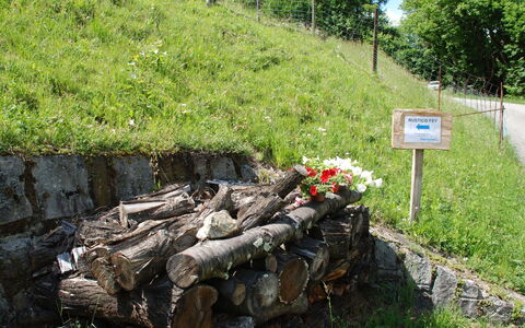 Rustico Fey: Mur, Herbe, Réserve Naturelle, Arbre, Géologique Phénomène, Roche, Plante, Communauté Des Plantes, Mur De Pierre, Famille Grass