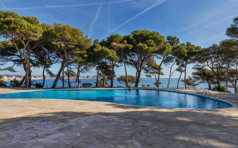 St Antoni de Calonge 250: L'Eau, Ciel, Nuage, Plante, Piscine, Arbre, Ombre, Arecales, Loisir, Paysage