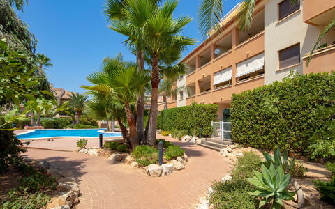 Benvinguts: Propriété, Immobilier, Recours, Arbre, Bâtiment, Appartement, Maison, Palmier, Plante, Vacances