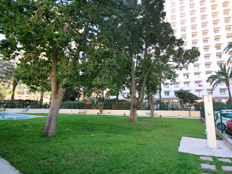 Waldorff