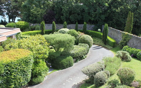Dinard 220: Jardin, Haie, Arbuste, Jardin Botanique, Végétation, Arbre, Plante, Botanique, Suppression Des Plantes Ligneuses, À Feuilles Persistantes
