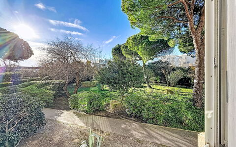 Port Royal - Corvette: Bleu, Feuille, Vert, La Nature, Végétation, Branche, Arbuste, Communauté Des Plantes, Jardin, Printemps