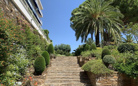 Cavalaire 279: Végétation, Arbre, Jardin, Propriété, Palmier, Botanique, Jardin Botanique, Ciel, Arecales, Plante