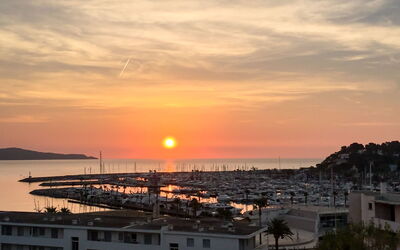 Cavalaire 279