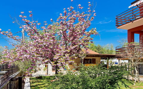 Majda: Arbre, Printemps, Fleur, Fleur, Plante, Suppression Des Plantes Ligneuses, Ciel, Architecture, Branche, Zone Résidentielle