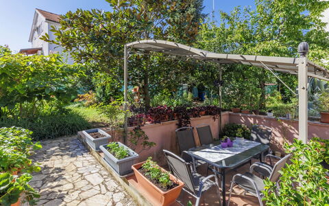 Ivanka: Plante, Propriété, Communauté Des Plantes, Ciel, Pot De Fleur, Ombre, Végétation, Mobilier De Jardin, Paysage, Immobilier