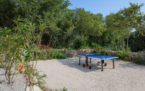 Debora: Végétation, Réserve Naturelle, Propriété, Paysage Naturel, Table, Arbre, Botanique, Communauté Des Plantes, Jardin, Immobilier