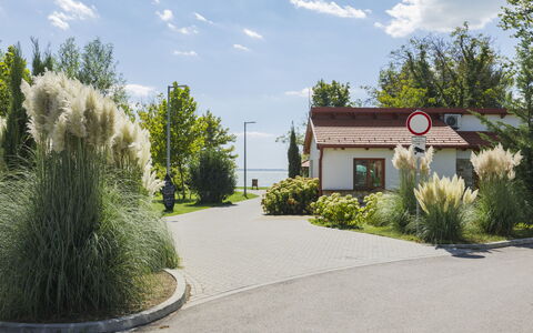 Piccola: Arbuste, Jardin, Allée, Aménagement Paysager, Passerelle, Ombre, Banlieue, Cour