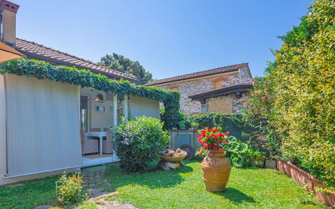 Fiumetto: Plante, Fleur, Ciel, Bâtiment, Fenêtre, Pot De Fleur, Arbre, Maison, Lot Terre, Herbe