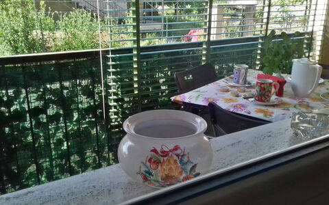 Corallo: Table, Domicile, Vaisselle, Meubles, Maison, Coupe, Jardin, Verre, Serveware, Plante