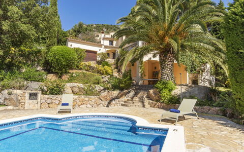 Venecia: Recours, Aménagement Paysager, Biens, Eco Hôtel, Villa, Piscine, Dalle, Hacienda, Tropiques