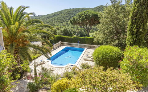 Venecia: Recours, Piscine, Jardin, Eco Hôtel, Aménagement Paysager, Biens, Tropiques, Villa, Ville Resort