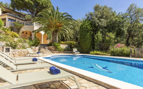 Venecia: Piscine, Recours, Eco Hôtel, Biens, Ombre, Hacienda, Tropiques, Villa, Aménagement Paysager, Dalle