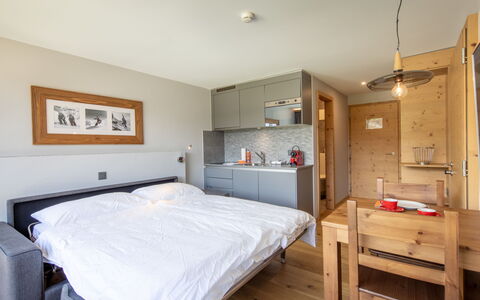 Logement:&nbsp;Swisspeak Resorts Vercorin 9000.116