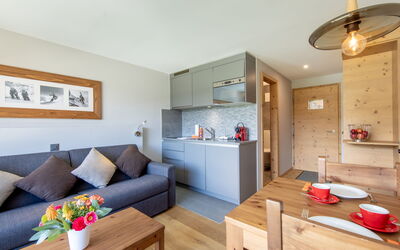 Logement:&nbsp;Swisspeak Resorts Vercorin 9000.116