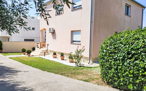 Ive: Plante, Bâtiment, Propriété, Ciel, Fenêtre, Surface De La Route, Lot Terre, Design Urbain, Quartier, Zone Résidentielle