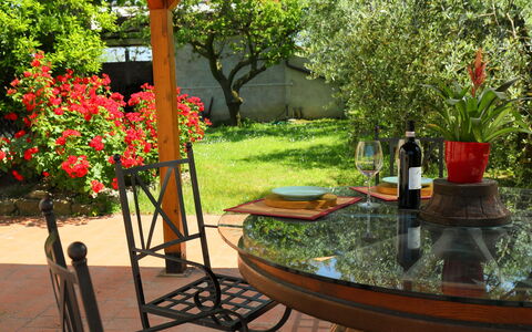 Cortona 190: Plante, Table, Meubles, Fleur, Botanique, La Nature, Feuille, Arbre, Bouteille, Chaise