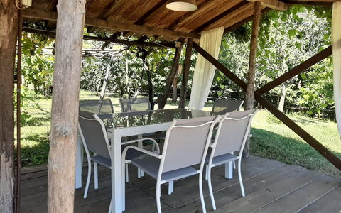 Bettina!: Plante, Table, Meubles, Bois, Ombre, Chaise, Mobilier De Jardin, Chalet, Arbre, Porche