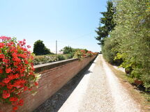 Casa Romana
