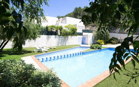 Una: L'Eau, Plante, Propriété, Piscine, Bâtiment, Arbre, Bleu Azur, Ciel, Ombre, Arecales