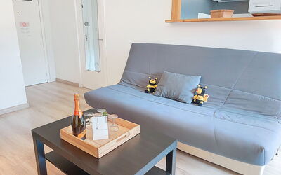 Logement:&nbsp;Castel des Roches A36 415.5