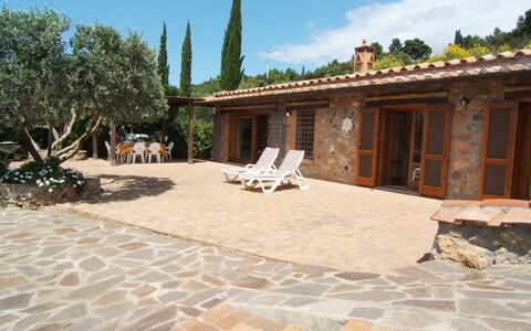Raggio Di Sole Sull'argentario: Propriété, Bâtiment, Maison, Biens, Patio, Dalle, Domicile, Immobilier, Cour, Arbre