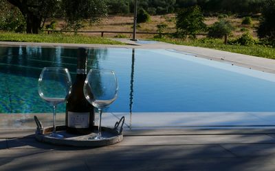 Agriturismo La Pieve: L'Eau, Piscine, Arbre, Loisir, Vacances, Caractéristique De L'Eau, Paysage, Plante, Verre, Maison