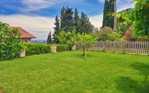 Country Home Il Passatempo: Pelouse, Herbe, Vert, Propriété, Cour, Immobilier, Lot Terre, Paysage Naturel, Arbre, Jardin