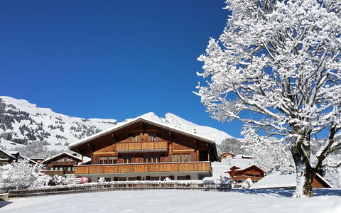 Grindelwald 570: Ciel, Neige, Bâtiment, Montagne, Maison, Paysage Naturel, Pente, Arbre, Plante, Gelé