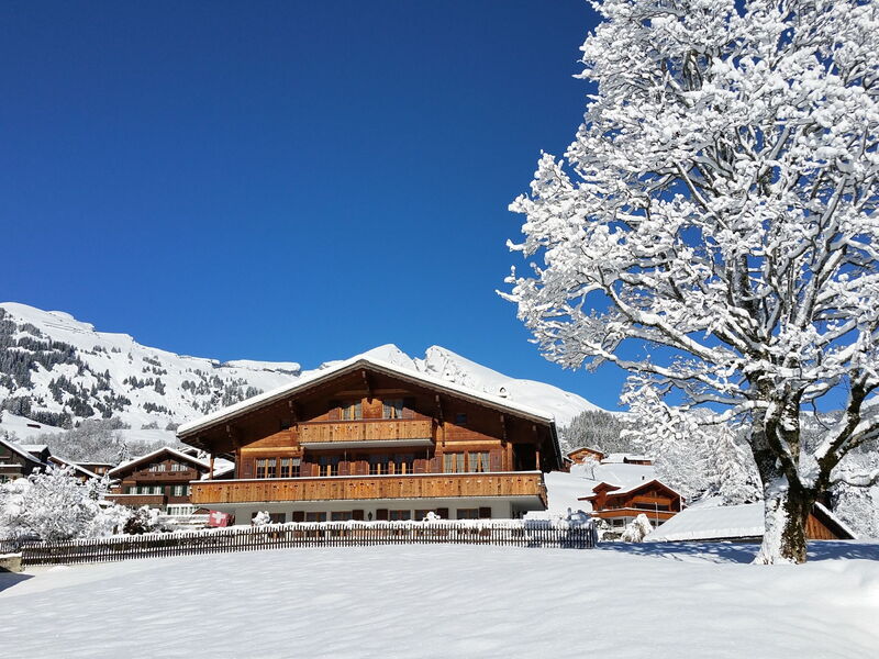 Grindelwald 570
