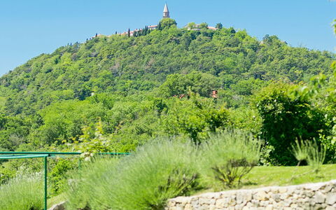 Panorama 2: Végétation, La Nature, Paysage Naturel, Vert, Réserve Naturelle, Arbre, Station De Montagne, Botanique, Jardin Botanique, Colline