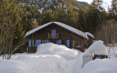 Dufaux: Neige, L'Hiver, Propriété, Gelé, Domicile, Arbre, Maison, Chalet, Cabane En Rondins, Toit