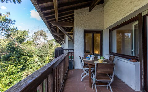 Hossegor 350: Ciel, Bâtiment, Fenêtre, Arbre, Plante, Maison, Lot Terre, Chalet, Bois, Siding