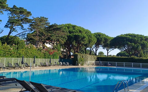 Golf de Chiberta: 