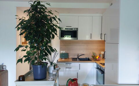 Golf de Chiberta: Pot De Fleur, Design Intérieur, Plante D'Appartement, Cabinetry, Électroménager, Appareil De Cuisine, Comptoir, Verre, Tiroir, Cuisine