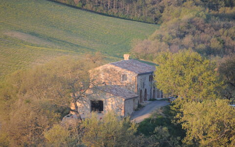 Podere Palazzo: Zone Rurale, Colline, Arbre, Ciel, Photographie Aérienne, La Photographie, Architecture, Paysage, Maison, Bâtiment