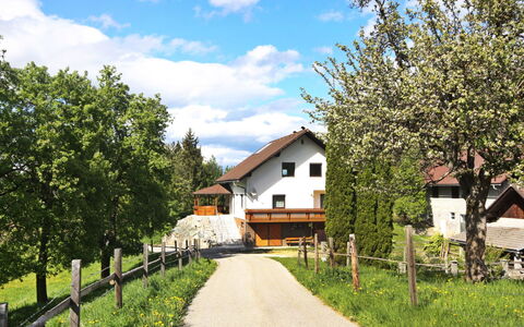 Berg: Propriété, Zone Résidentielle, Maison, Arbre, Domicile, Immobilier, Quartier, Ville, Ciel, Printemps