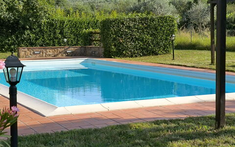 La Gropina Di Loro Ciuffenna: L'Eau, Plante, Propriété, Piscine, Bleu Azur, Botanique, Rectangle, Ombre, Herbe, Loisir