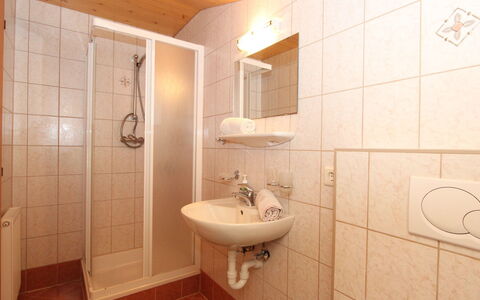 Alpin: Salle De Bains, Propriété, Pièce, Tuile, Design Intérieur, Architecture, Immobilier, Luminaire Plomberie, Bâtiment, Maison