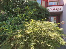 Caslano 400