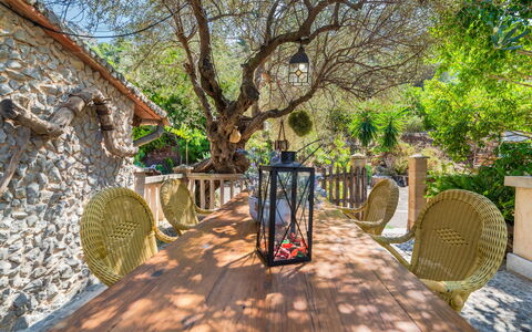 Cala Tuent: Arbre, Propriété, Botanique, Jardin, Printemps, Suppression Des Plantes Ligneuses, Passerelle, Plante, Immobilier, Maison