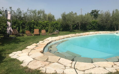 Villa Eleonora: Piscine, Dalle, Arrière-Cour, Aménagement Paysager, Cour, Caractéristique De L'Eau, Recours, Mobilier De Jardin