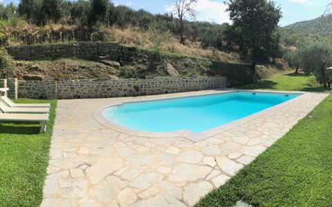 Villa Oleandro: Piscine, Propriété, Herbe, Arrière-Cour, Villa, Lot Terre, Paysage, Rectangle, Loisir, Biens