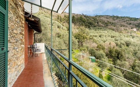 Mes Mas: Métal, Balcon, Clôture, Acier, Vélo, Plante D'Appartement, Eco Hôtel