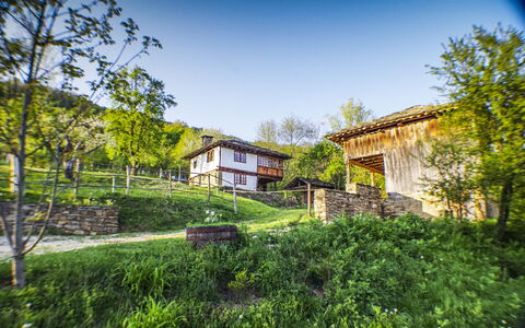 Karashka: Maison, Propriété, Végétation, Domicile, Vert, Immobilier, Jour, Architecture, Arbre, Bâtiment